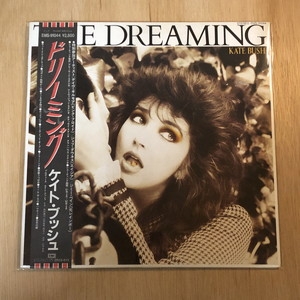 中古:盤質B】 ドリーミング : Kate Bush | HMV&BOOKS online - EMS91044