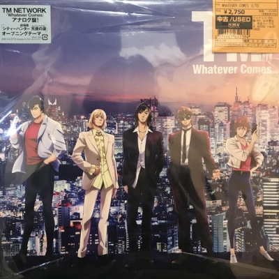 中古:盤質AB】 Whatever Comes 【完全生産限定盤】(アナログレコード