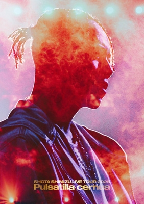 ミュージック SHOTA SHIMIZU LIVE TOUR 2025 SHOTA SHIMIZU LIVE TOUR 2025 'Pulsatilla cernua' (Blu-ray) : 清水
