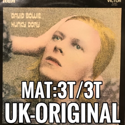 中古:盤質B】 Hunky Dory : David Bowie | HMV&BOOKS online - SF8244