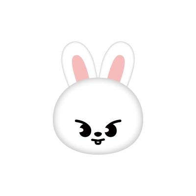 �ʂ�����݃����O�yLeebit�z
