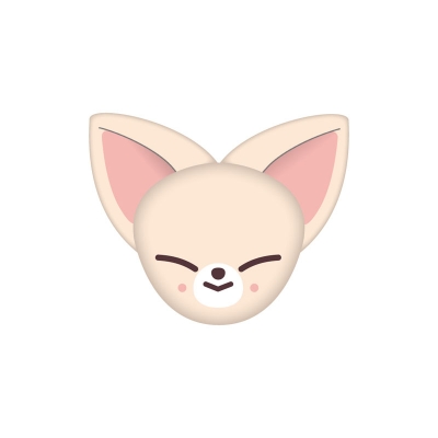 �ʂ�����݃����O�yFoxI.Ny�z