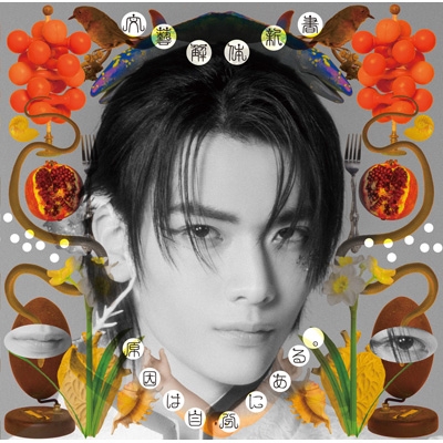 文藝解体新書【武藤潤盤】 : 原因は自分にある。 | HMV&BOOKS online