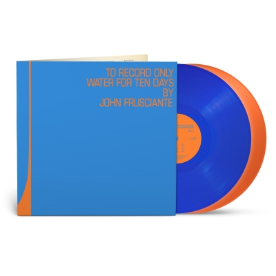 the Fin. Days With Uncertainty LPレコード盤 The Fin. - Days With Uncertainty [LP Edition]