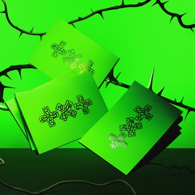 8th Mini Album: 7TH YEAR: A Moment of Stillness in the Thorns