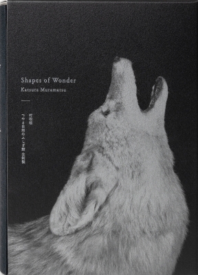 Shapes of Wonder つやま自然のふしぎ館全〓製 : 村松桂 | HMV&BOOKS