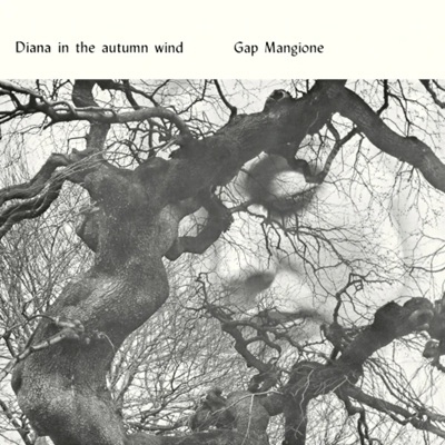 Diana in the autumn wind 激レア Diana In The Autumn Wind（アナログレコード） : Gap Mangione