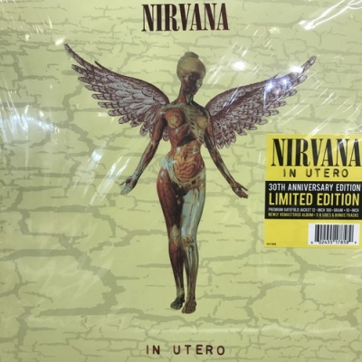 中古:盤質B】 In Utero (30th Anniversary)(アナログレコード+10インチ