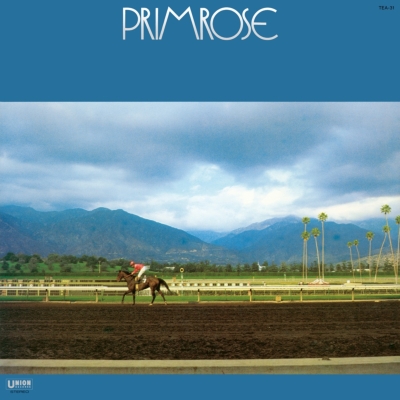 オリジナル盤　鈴木宏昌　プリムローズ　レコード　歌詞カード付 Primrose（アナログレコード） : 鈴木宏昌 | HMV&BOOKS online - TEA31