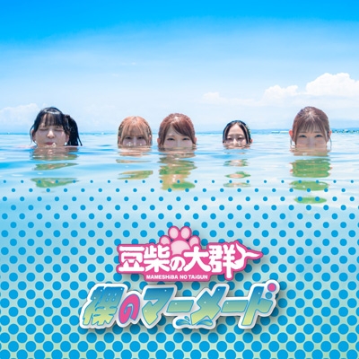 裸のマーメード : 豆柴の大群 | HMV&BOOKS online - AVCD-61764