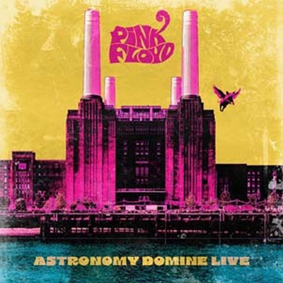 Astronomy Domine -Live (10cd Box Set) : Pink Floyd | HMV&BOOKS