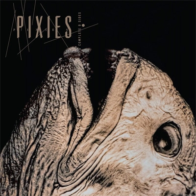Pixies オフィシャルライヴ盤 53タイトルセット Complete B Sides: 1988-97 : Pixies | HMV&BOOKS online - 4AD0878CD