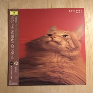 中古:盤質B】 名前をつけてやる : スピッツ | HMV&BOOKS online - POJH1008