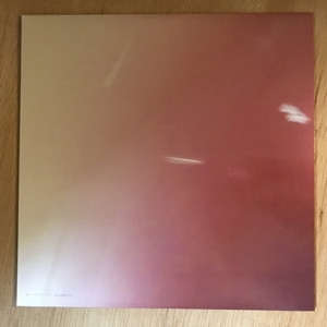 中古:盤質B】 本日は晴天なり (アナログレコード) : サニーデイ
