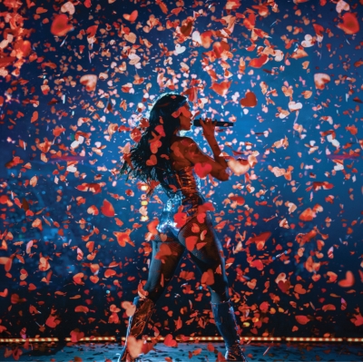 Dua Lipa (Live From Mexico)（2枚組アナログレコード） : Dua Lipa