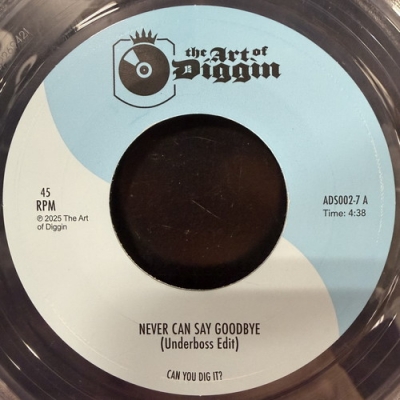 中古:盤質AB】 Never Can Say Goodbye / Ain