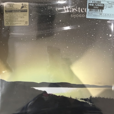 中古:盤質A】 WASTED TEARS (アナログレコード) : 浜田省吾