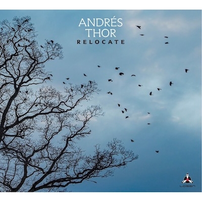 Relocate（180グラム重量盤レコード） : Andres Thor | HMV&BOOKS