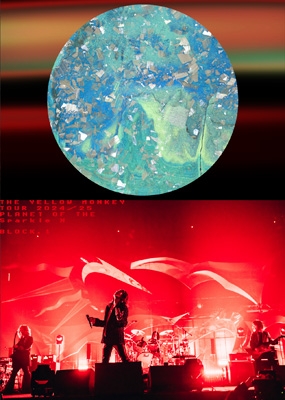 THE YELLOW MONKEY TOUR2024/25 Sparkleの惑星X＜-BLOCK1-＞ (DVD