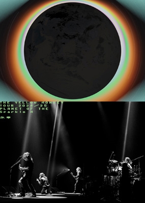 THE YELLOW MONKEY TOUR2024/25 Sparkleの惑星X＜-ネ申-＞ (DVD) : THE