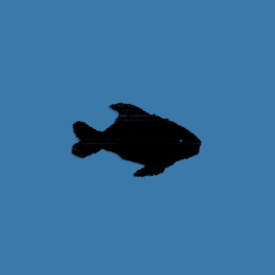 Oxis 8 : Oxis | HMV&BOOKS online - L-BOOM001