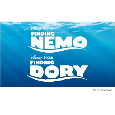 ディズニードリームコレクション　ポストカードブック　6冊セット ピクサー ポストカードブックコレクション NEMO・DORY（ニモ・ドリー