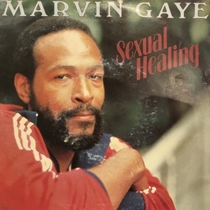 中古:盤質B】 Sexual Healing : Marvin Gaye | HMV&BOOKS online