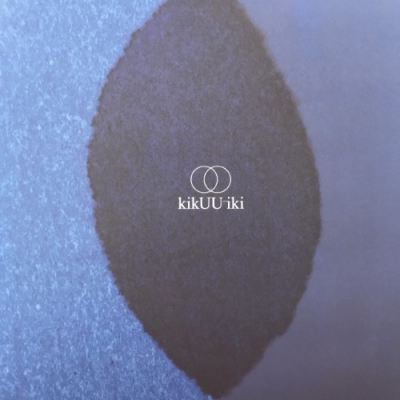 中古:盤質AB】 kikUUiki (2枚組/重量盤レコード) : サカナクション