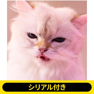 シリアル付き》cats《全額内金》 : My Hair is Bad | HMV&BOOKS online