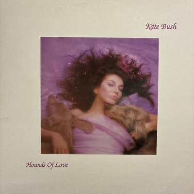 中古:盤質B】 Hounds Of Love : Kate Bush | HMV&BOOKS online - EJ2403841