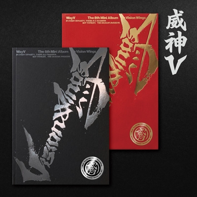 8th Mini Album: Vision Wings (PHOTOBOOK Ver.)(ランダムカバー