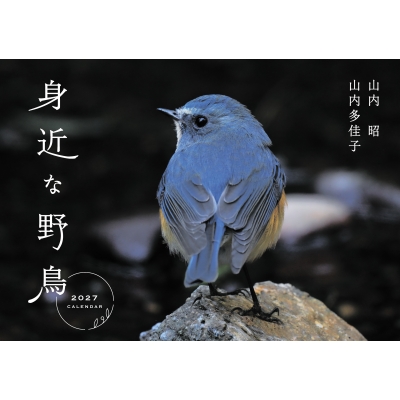 身近な野鳥カレンダー 2027 : 山内昭 | HMV&BOOKS online - 9784868110712