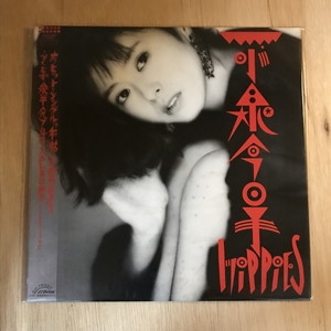 中古:盤質B】 Hippies : 小泉今日子 | HMV&BOOKS online - SJX30329