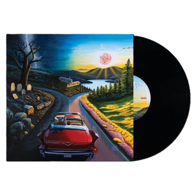 I Don't Wanna Say Goodbye (アナログレコード) : Haywire 617