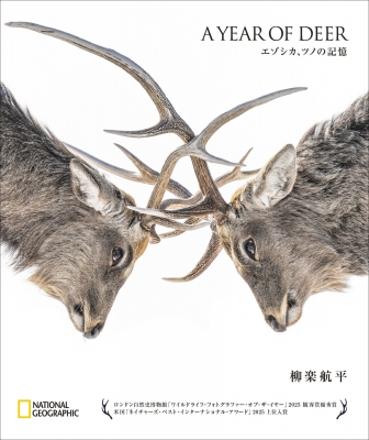 A Year Of Deer エゾシカ、ツノの記憶 : 柳楽航平 | HMV&BOOKS online
