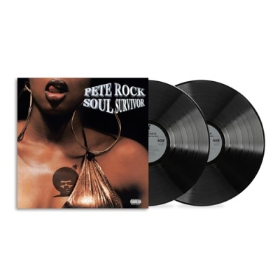 オリジナル盤　 Pete Rock / Soul Survivor 2LP Soul Survivor（2枚組アナログレコード） : Pete Rock | HMV&BOOKS