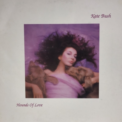 中古:盤質B】 Hounds Of Love : Kate Bush | HMV&BOOKS online - EJ2403841