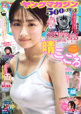 週刊ヤングマガジン 2026年11/9号 の表紙