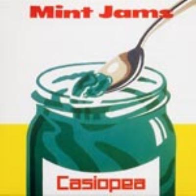 Mint Jams : CASIOPEA | HMV&BOOKS online - VRCL-2227