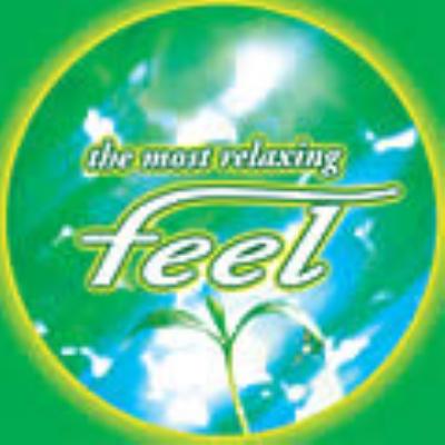 Feel 4 -The Most Relaxing | HMV&BOOKS online - TOCP-67160