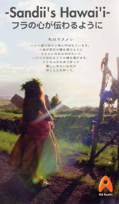 w*a様 Sandii's Hula Lessons DVD 5枚セット　カヒコ 通販生活 ファッション Sandii's Hula アウアナ カヒコ 5枚
