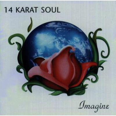 Imagine : 14 Karat Soul | HMV&BOOKS online - PCCY-1164