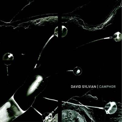 Camphor (Lmt) : David Sylvian | HMV&BOOKS online - 12201