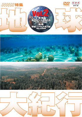 地球大紀行vol 2残されていた原始の海オーストラリア西海岸 自然 Hmv Books Online Nsds5575