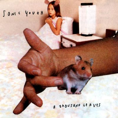 Thousand Leaves : Sonic Youth | HMV&BOOKS online - MVCF-24028