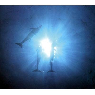 BLUE FANTASY with Trance/After Hours Remixes : 小室哲哉