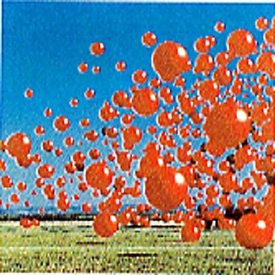 Wake Up And Smell The Coffee : Cranberries | HMV&BOOKS online  