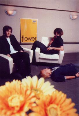 flower : Flower (Zain) | HMV&BOOKS online - ZACL-8004