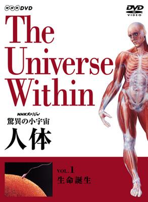 Hmv店舗在庫一覧 Nhkスペシャル 驚異の小宇宙 人体生命誕生 Nhkスペシャル Hmv Books Online Nsds6803