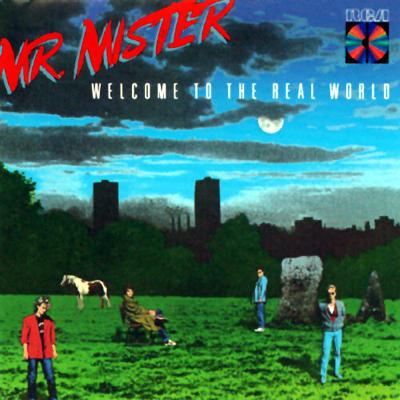 洋楽 Mr. Mister Welcome to the Real World Welcome To The Real World : Mr. Mister | HMV&BOOKS online - BVCM-37819